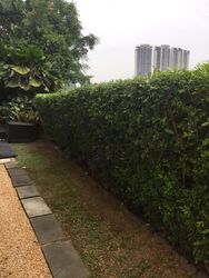 Bo Seng Avenue (D11), Detached #627914761